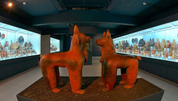 Visite des musées d'Asunción - Photo 3, Expositions