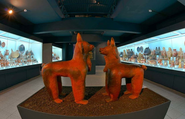 Asunción Museum Tour - Foto 3