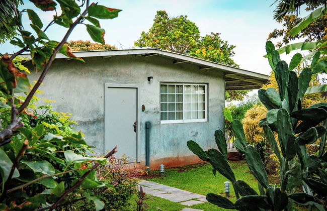 La Maracuyá - Photo 40