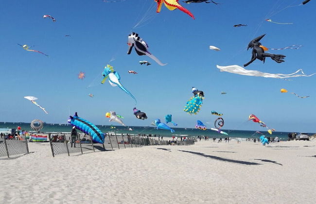 City Center Modern Retreat - Photo 10