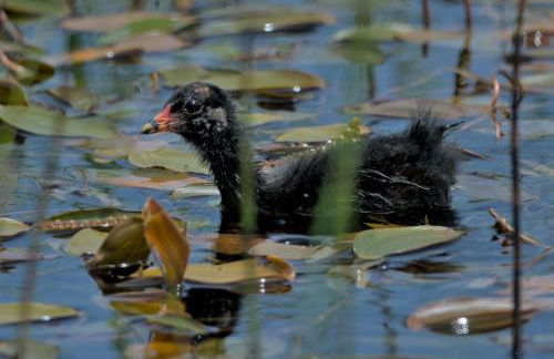 The Workshop- Eco Cottage by the Coastal Path - Photo 38