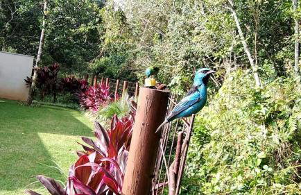 CASA TERREA WI-FI 3 SUITES 900m PRAIA DE GUARATUBA SP - Foto 5