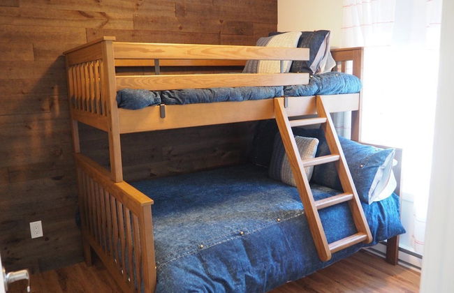 Domaine du parc de la forêt ouareau - Photo 3