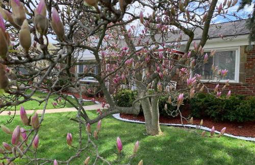 Elegant & spacious 32 Gem in Harper Woods - Foto 60