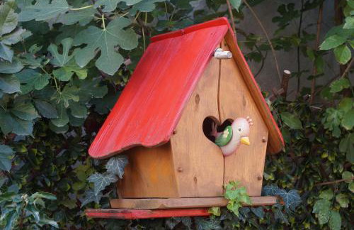 Sunčani Apartments - Foto 51