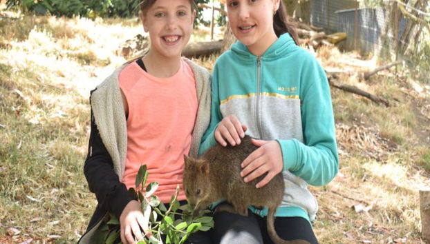 Ingressos para a Admissão Geral no Parque de Vida Selvagem de Gorge - Foto 4