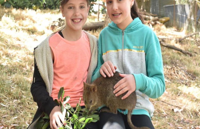 Billets d'entrée générale pour le parc animalier Gorge Wildlife Park - Photo 4