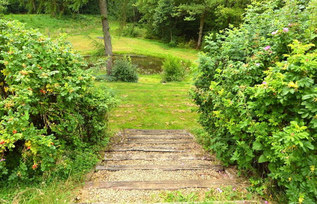 Fine Group House With Sauna Garden - Photo 37