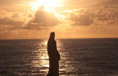 Apartamento Porto Beiramar - Foto 64