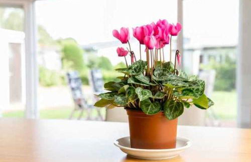 Ferienhaus Boje 9 - Foto 15