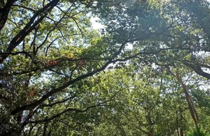 Villa Solenzaïa - Foto 45