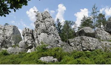 Haus Bergblick Bay. Wald - Foto 7