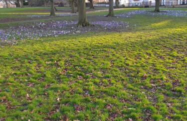 Nidd Way Holiday Let - Foto 60