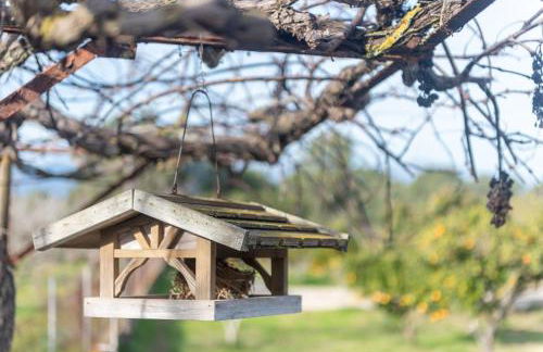 Sa Raconada - Foto 23