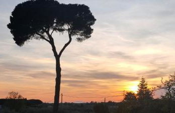 Da Barbara & Simone - Foto 7