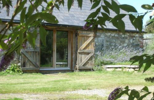 The Cwtsh at Ffynnon Clun: unique. - Photo 32