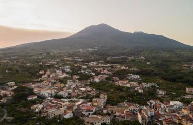 Villa Cola - Vesuvio Garden & Relax - Foto 71