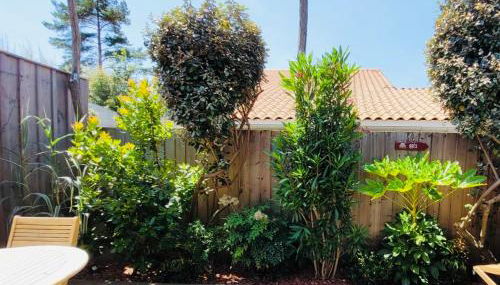 Cocon entre presqu'île du Cap Ferret et plages océanes - terrasse - 1 vélo gratuit - Foto 2, Garden, Garden view