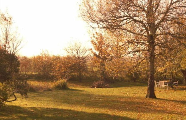 Dorotheenhof - Foto 25