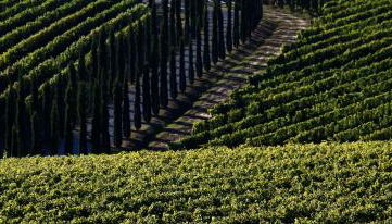 Poggio al Casone - Foto 3