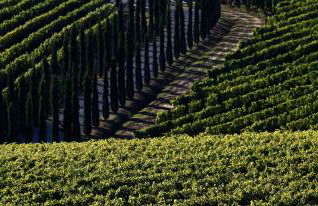 Poggio al Casone - Foto 3