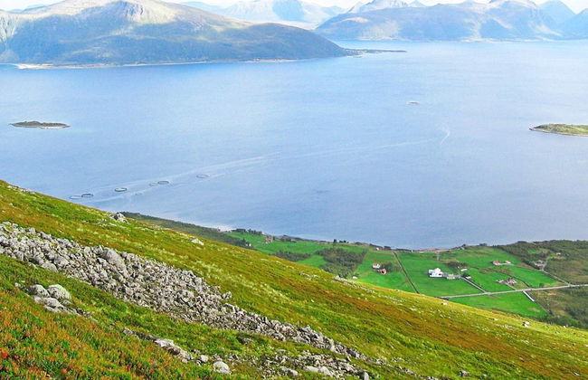 6 Person Holiday Home in Alsvag-by Traum - Photo 10