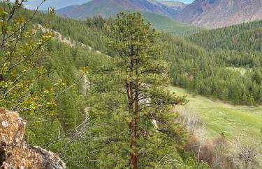 Jocko River Retreat - A Nature Lovers Dream - Foto 41