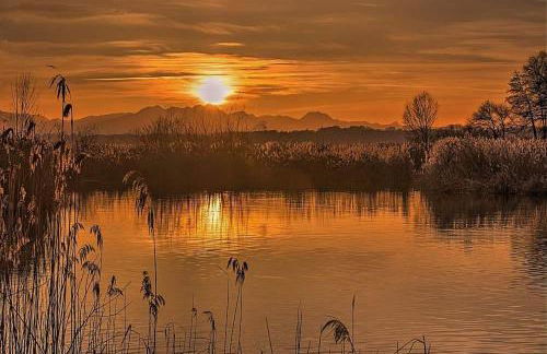Genusszeit am Chiemsee - Photo 27