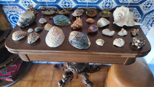 Orion Guest Villa Casais - Foto 4