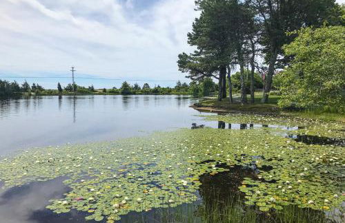 Spirit of the Sea - Foto 23