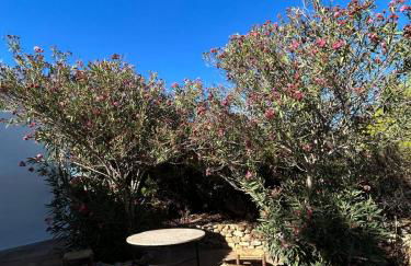 Cortijo Burruelo - Photo 9