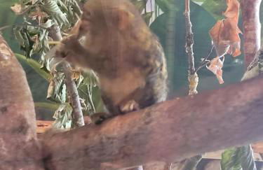 Familiehuis Dolve - Foto 85