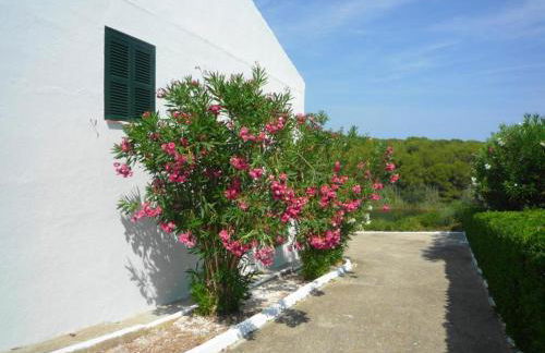 Villa Ferrer - Foto 19