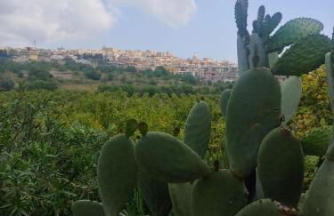 Il Primo Fiore - Foto 22