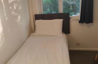 52 strawberry - Foto 13