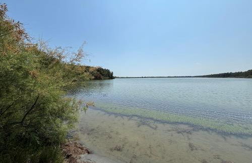 Il nido di Spina - Foto 13