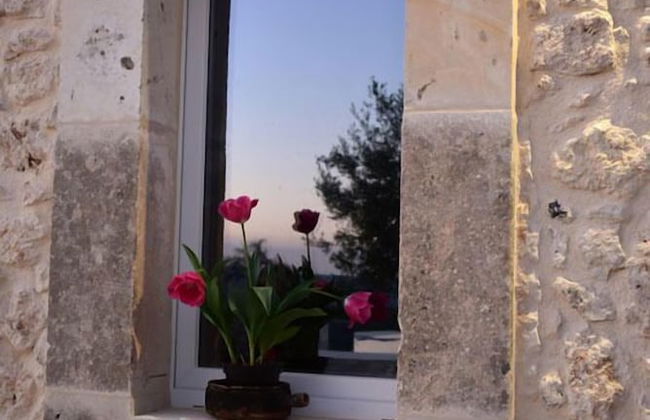 La Mela di Venere - Foto 38