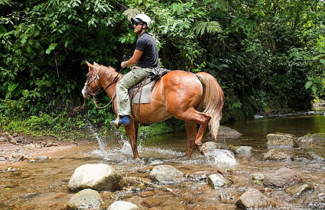 Paseo a caballo a la Catarata La Fortuna - Foto 2