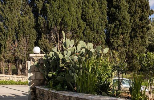 Casa Renta - Foto 50