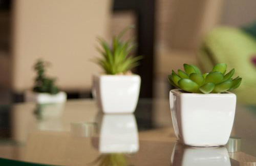 Zen Voyage - Foto 29