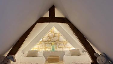 Tiny housse la Poitevinière - Foto 5