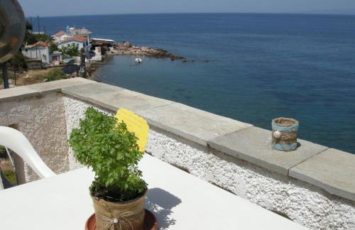 Alkioni Studios - Foto 58