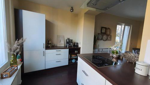 Villa Meschede mit Garten - Foto 5