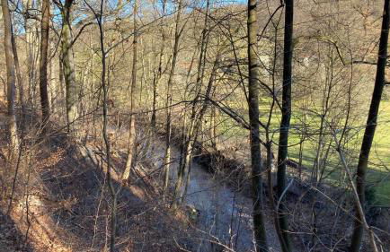 Villa Heimlicher Grund - Photo 26