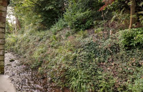 The Old Thatch - Foto 16