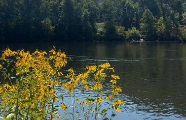 River Ridge Inn - Foto 26