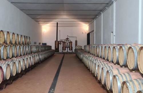 O Cantinho da Penetra AL - Foto 29