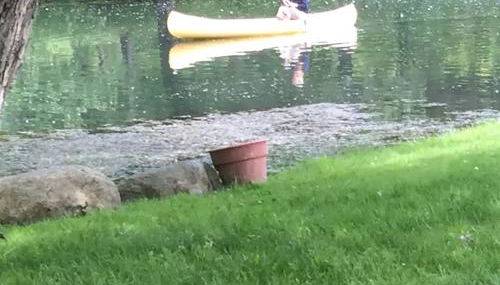 Picturesque Cabin Retreat with Private Sauna near New Richmond, Wisconsin - Foto 4