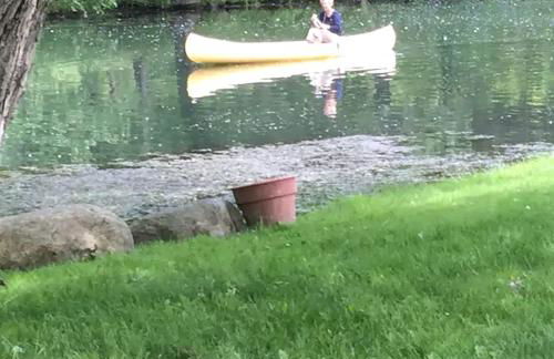 Picturesque Cabin Retreat with Private Sauna near New Richmond, Wisconsin - Foto 4