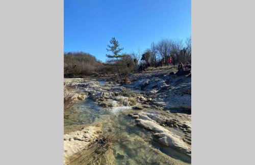 Villa Stanzietta Novigrad for 10 at Olive orchard - Foto 45